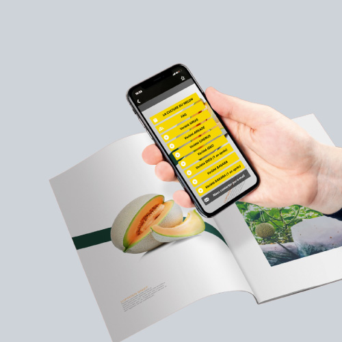 service-communication-digitale